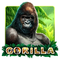 gorilla slot game