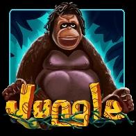 jungle slot