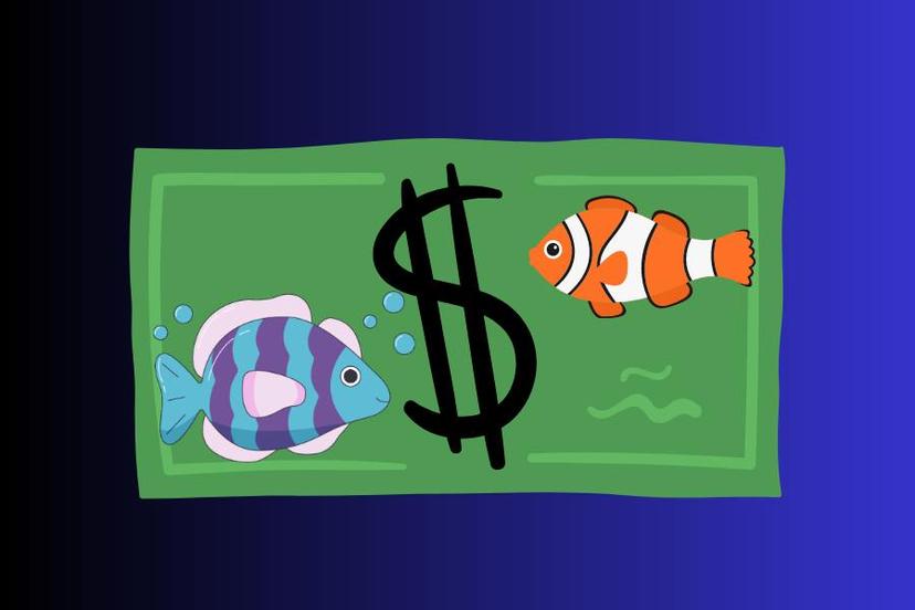 Fish Table Game Online Real Money